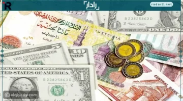 الدولار يرتفع إلى 47.55 جنيه في تعاملات اليوم بمصر
